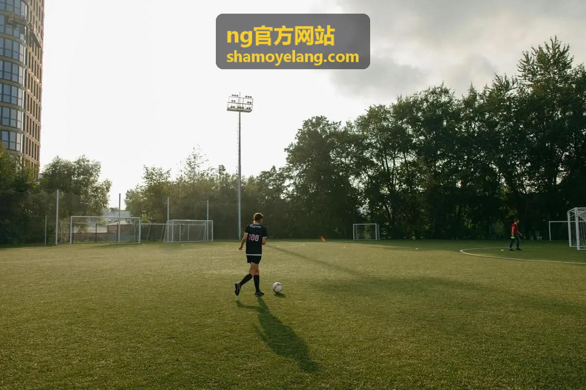 NG官方网站 NG-X1 智能终端与扩展底座