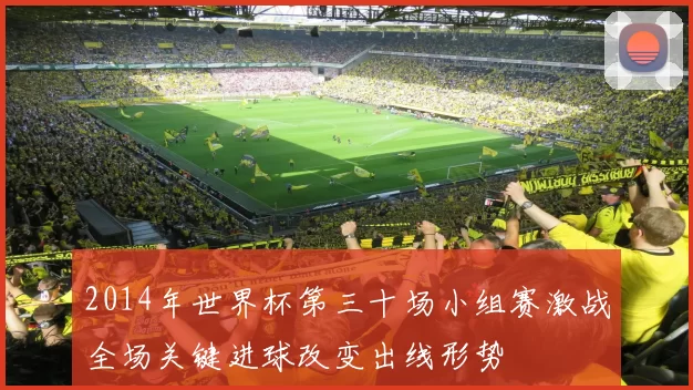 2014年世界杯第三十场小组赛激战全场关键进球改变出线形势