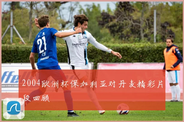 2004欧洲杯保加利亚对丹麦精彩片段回顾