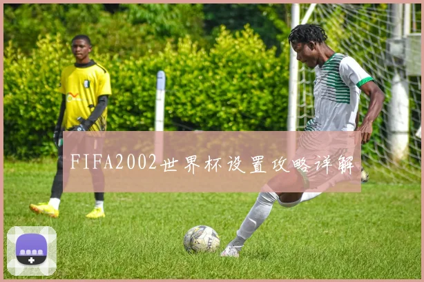 FIFA2002世界杯设置攻略详解