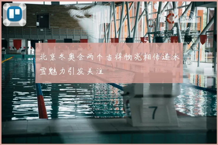 北京冬奥会两个吉祥物亮相传递冰雪魅力引发关注