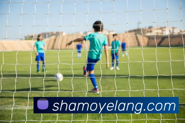 ky体育APP 封面图